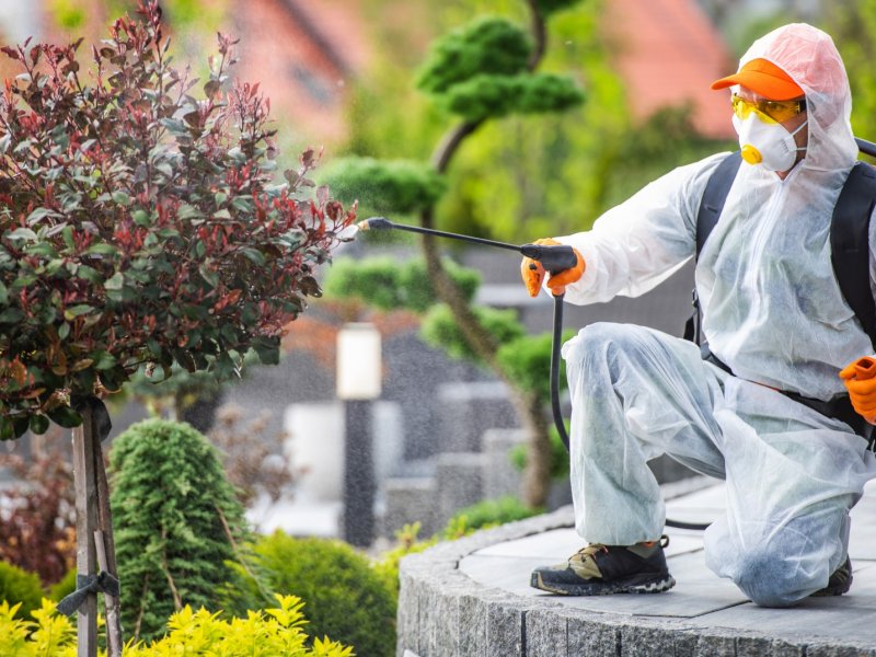 Kemalpaşa Haşere İlaçlama