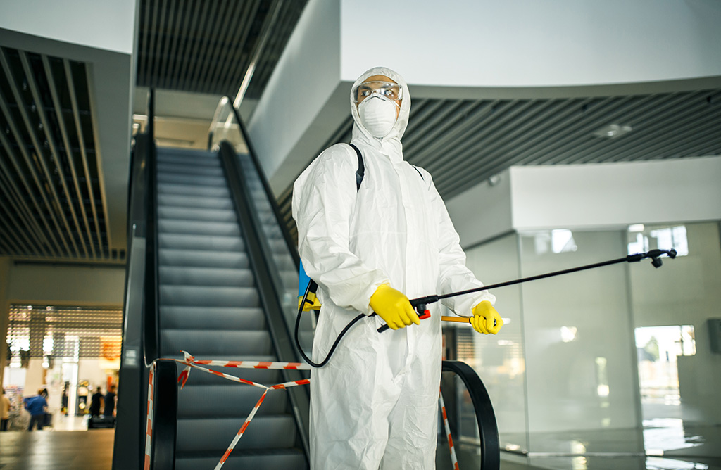 Kemalpaşa Haşere İlaçlama